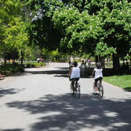 Le Bouscat: Un Superbe En *